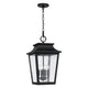 Chandler 4-Light Outdoor Hanging Lantern