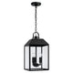 Nelson 3-Light Outdoor Hanging Lantern