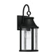 Bridger 1-Light Outdoor Wall Lantern