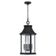 Bridger 4-Light Outdoor Hanging Lantern