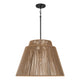Jasper 1-Light Outdoor Hanging Lantern