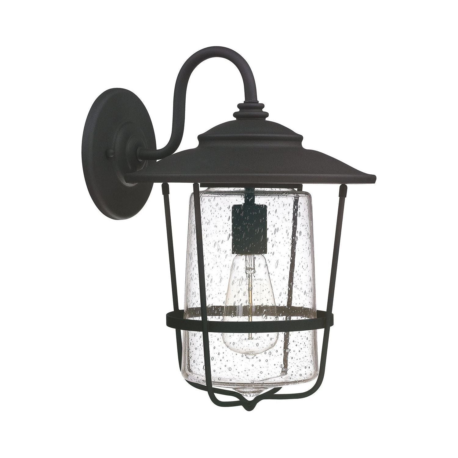 Creekside 1-Light Outdoor Wall Lantern