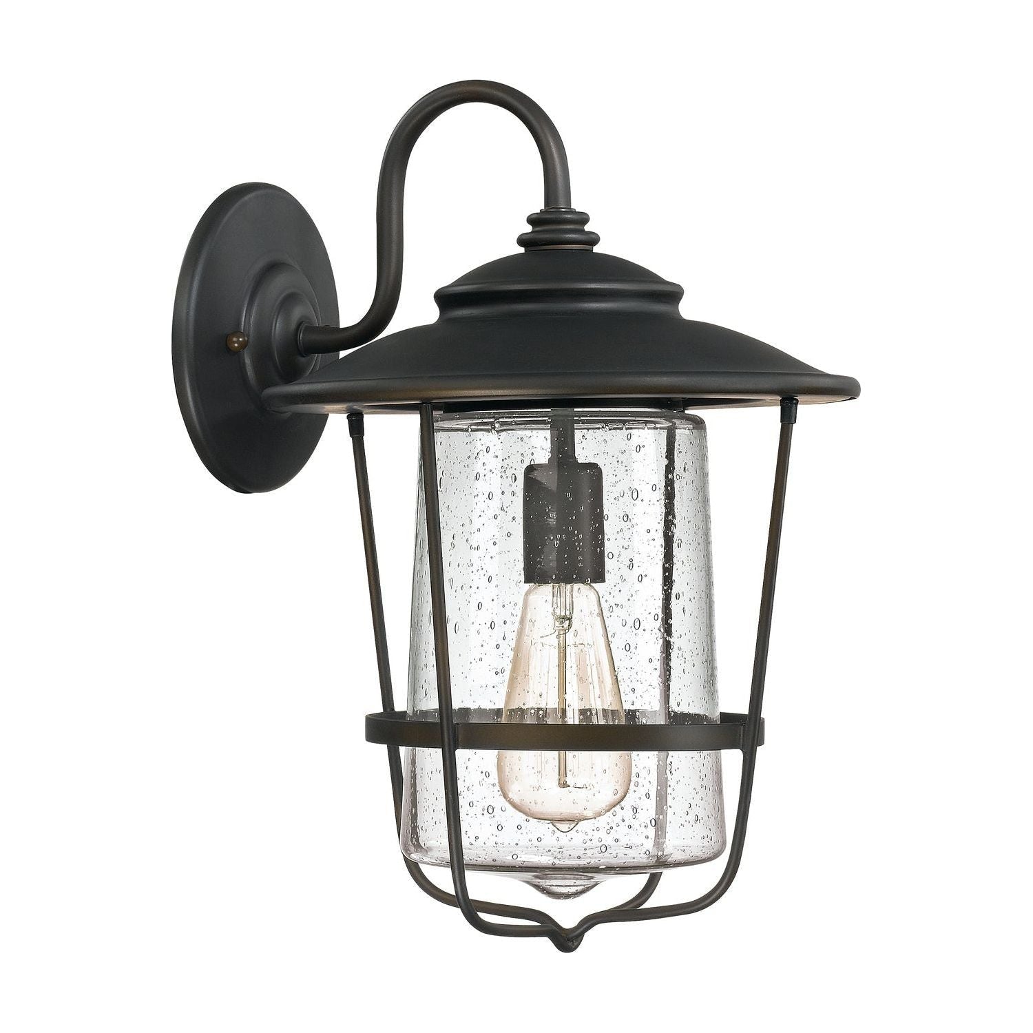 Creekside 1-Light Outdoor Wall Lantern