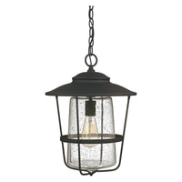 Creekside 1-Light Outdoor Hanging Lantern