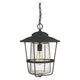 Creekside 1-Light Outdoor Hanging Lantern