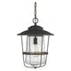 Creekside 1-Light Outdoor Hanging Lantern
