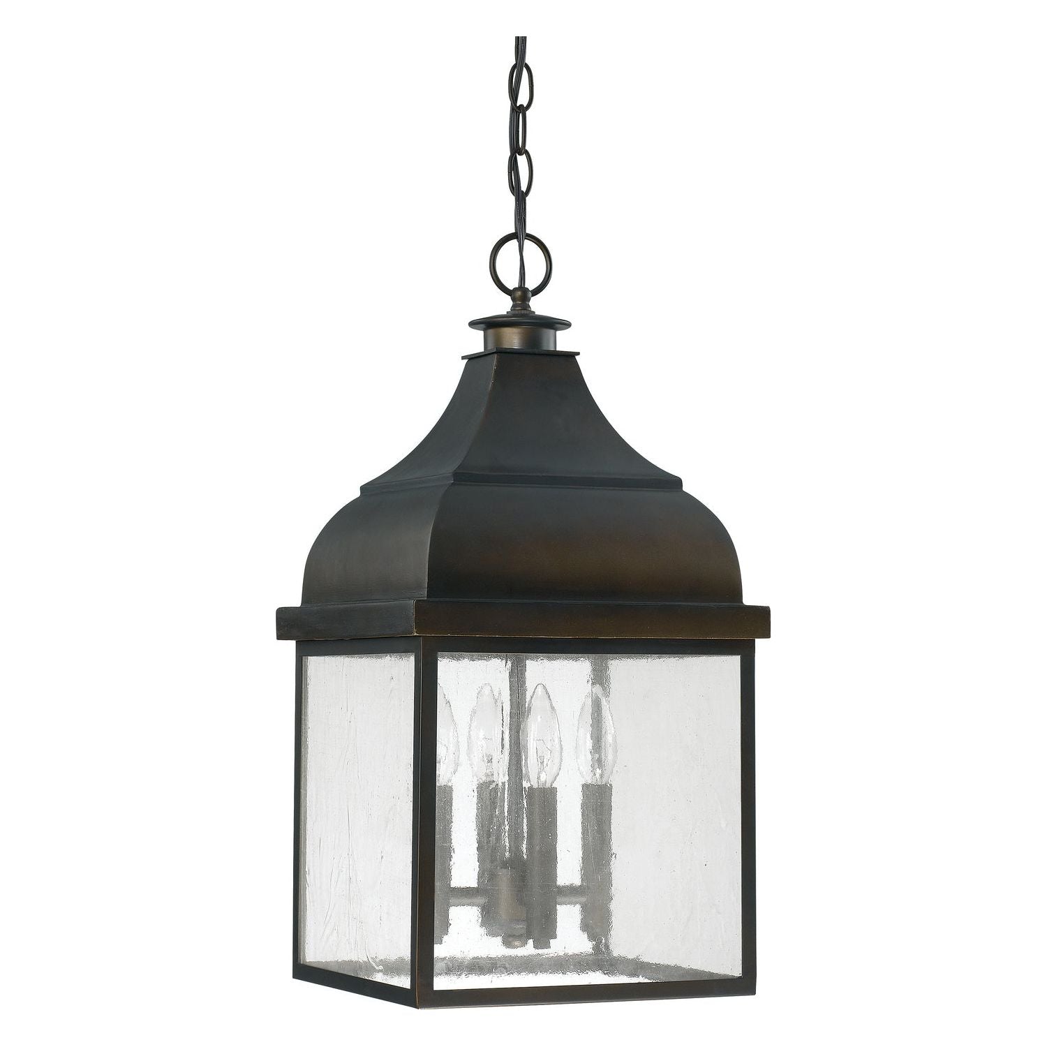 Westridge 4-Light Outdoor Hanging Lantern