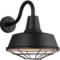 Barn Light Large Cage Accessory