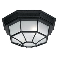 2-Light Outdoor Flush Mount