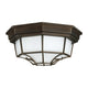 2-Light Outdoor Flush Mount