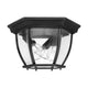 3-Light Outdoor Flush Mount