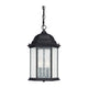 Main Street 3-Light Outdoor Hanging Lantern