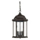 Main Street 3-Light Outdoor Hanging Lantern