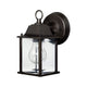 1-Light Outdoor Wall Lantern