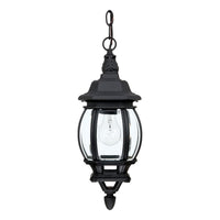 French Country 1-Light Outdoor Hanging Lantern