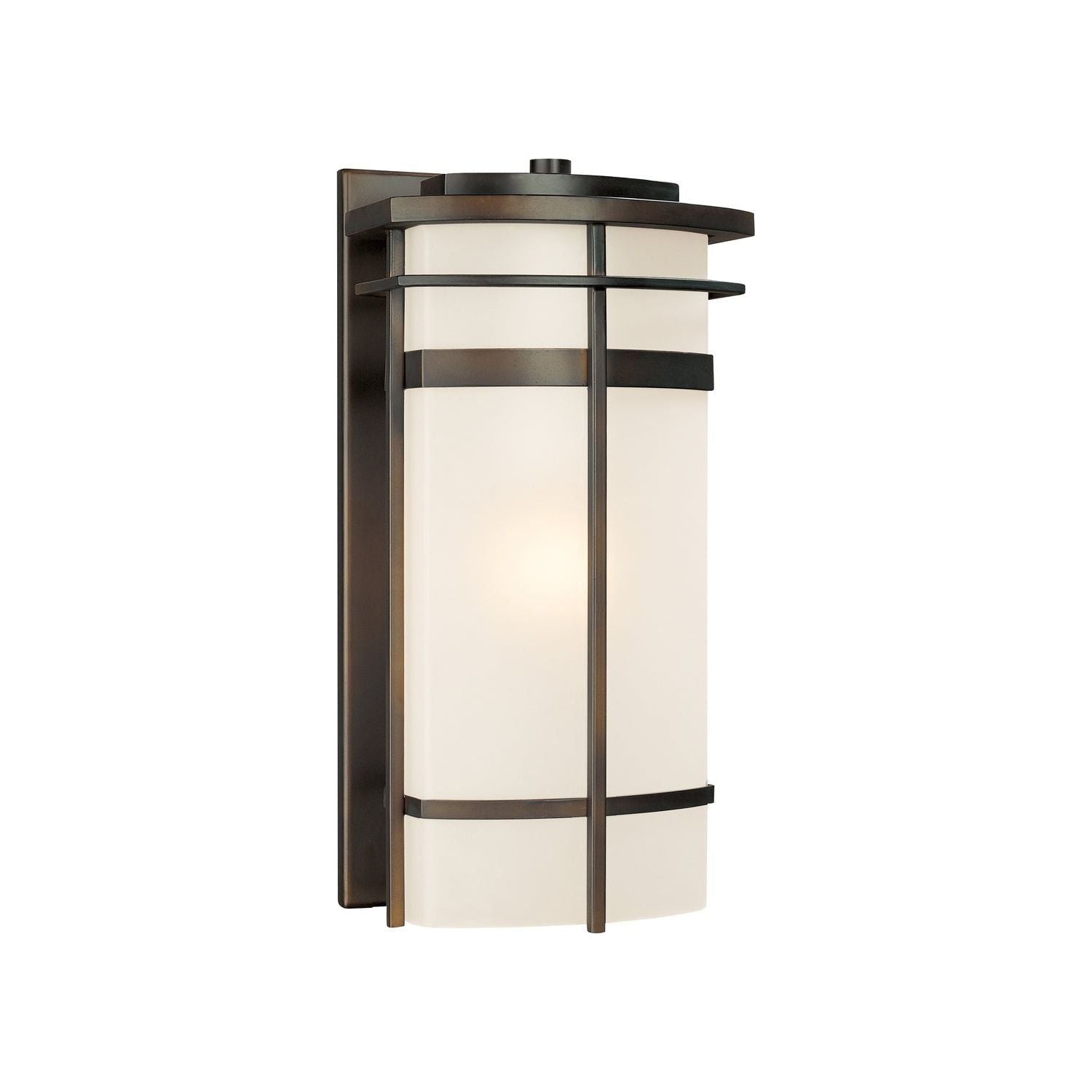 Lakeshore 1-Light Outdoor Wall Lantern