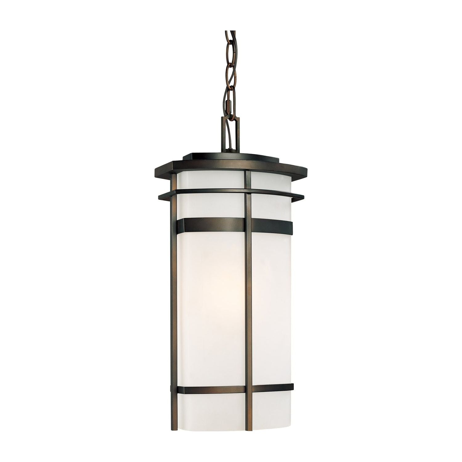 Lakeshore 1-Light Outdoor Hanging Lantern