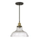 Benji 1-Light Pendant