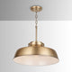 Oakwood 1-Light Pendant
