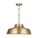 Oakwood 1-Light Pendant