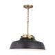 Oakwood 1-Light Pendant