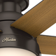 Anslee Low Profile Fan with Light 46"