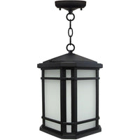 Elm Outdoor Pendant