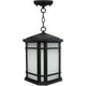 Elm Outdoor Pendant