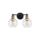 Ash 2-Light Vanity Wall Light