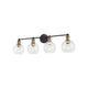Ash 4-Light Vanity Wall Light