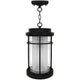 Apex Outdoor Pendant