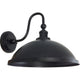 Colton Outdoor Wall Sconce