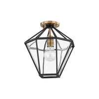 Moss 1-Light Semi Flush Mount