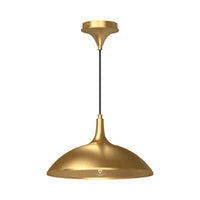 Alora Mood Abel 14 Inch Pendant