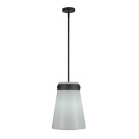 Dahlia 1-Light Pendant 12"