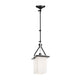 Brydon Sconce/Pendant