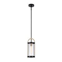 Bonita 1-Light Pendant