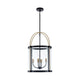 Bonita 4-Light 17" Pendant