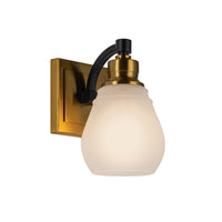 Nelson 1-Light Vanity Light