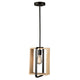 Perris 1-Light Pendant