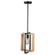 Perris 1-Light Pendant