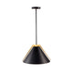 Baltic 1-Light Pendant