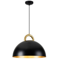 Pantheon 1-Light 15.75" Pendant