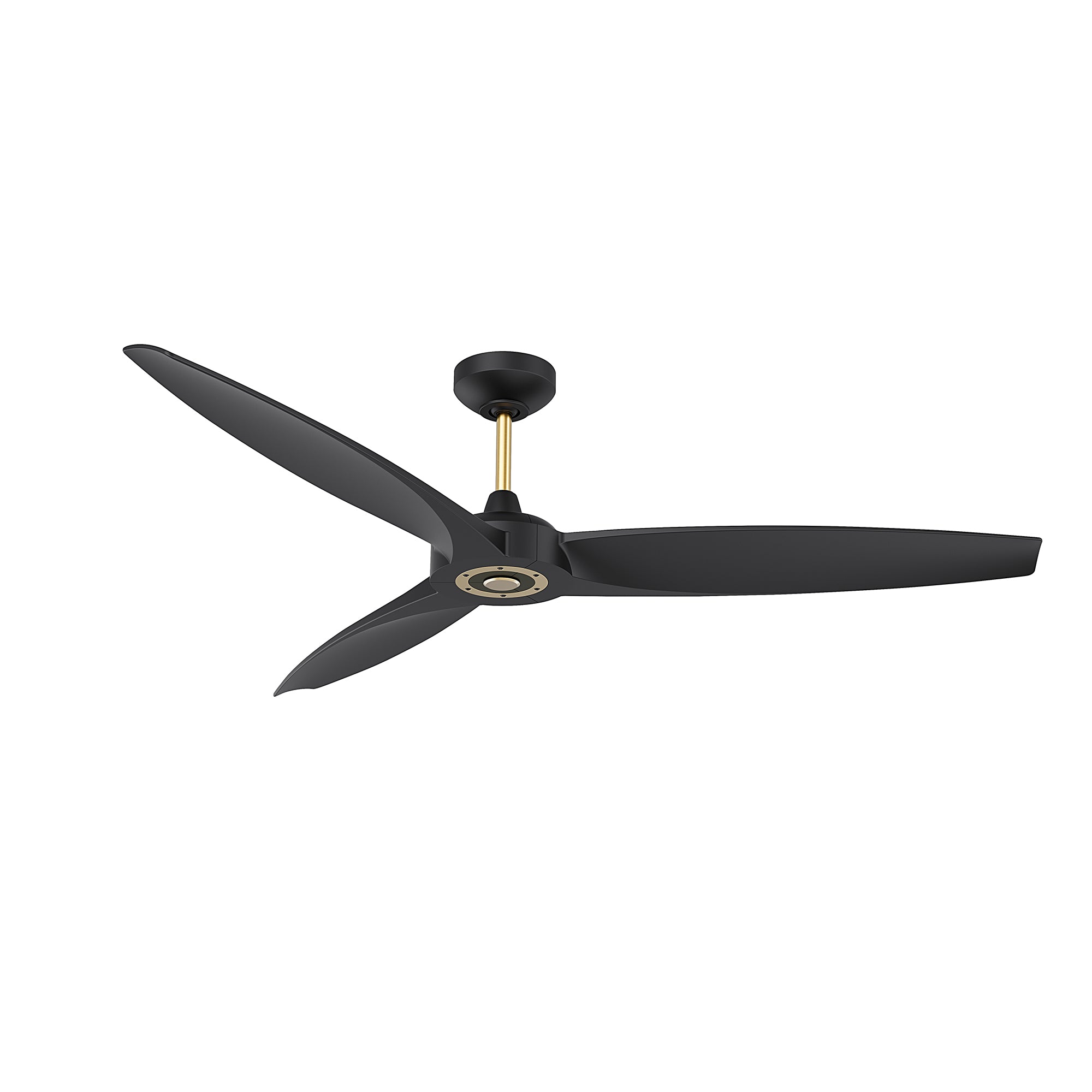 AC30656-BLK/OCB