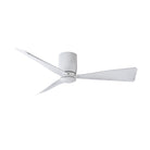 AC31244-MWH