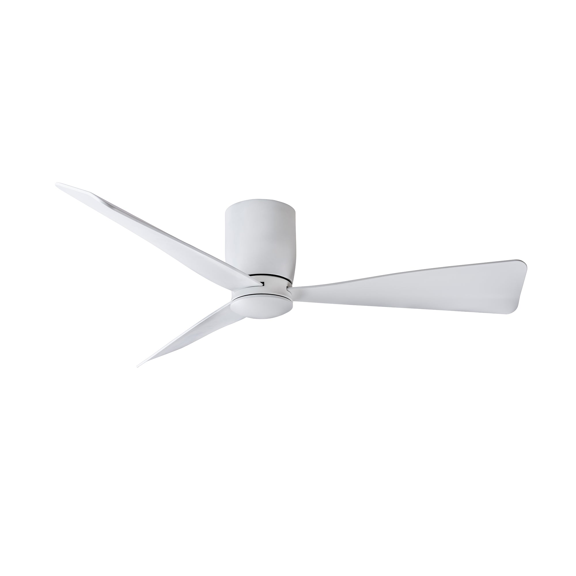 AC31244-MWH