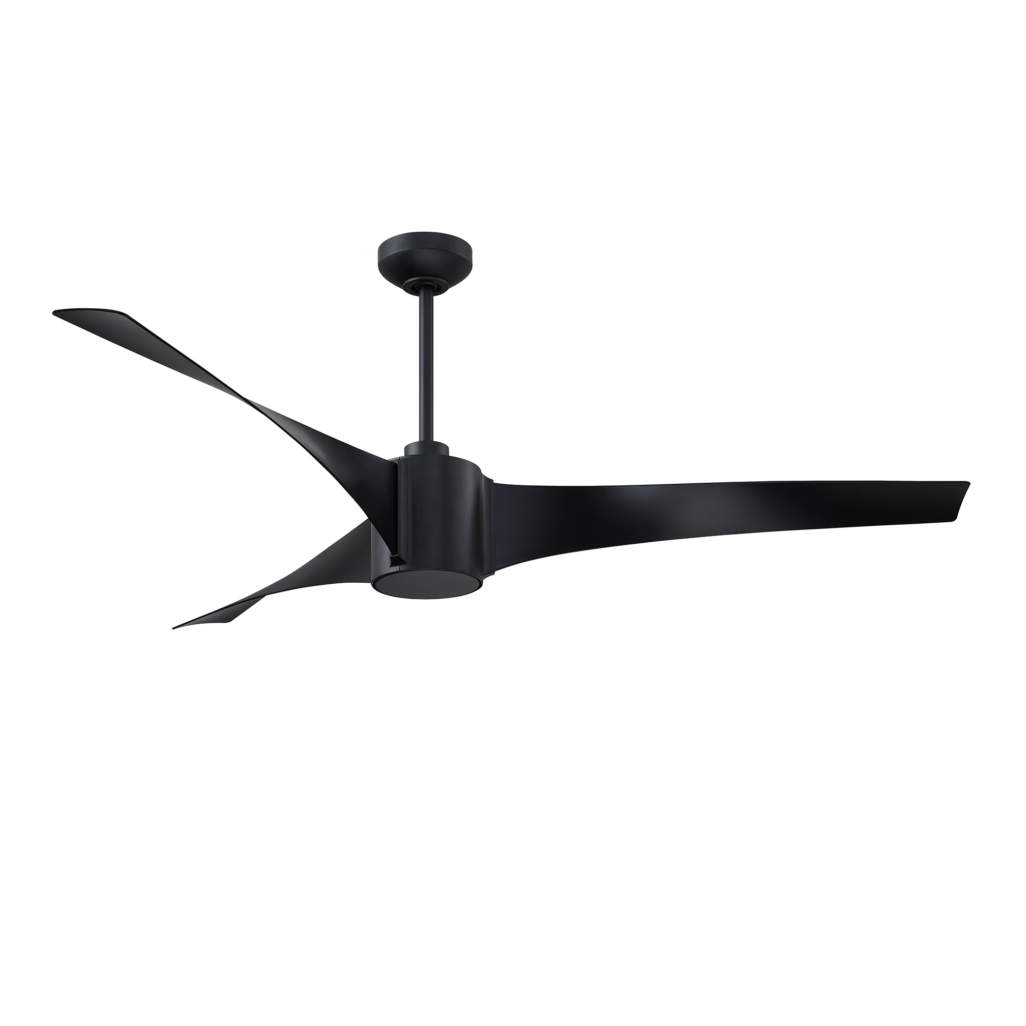 AC31560-BLK