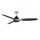 AC31656-BLK/BRS
