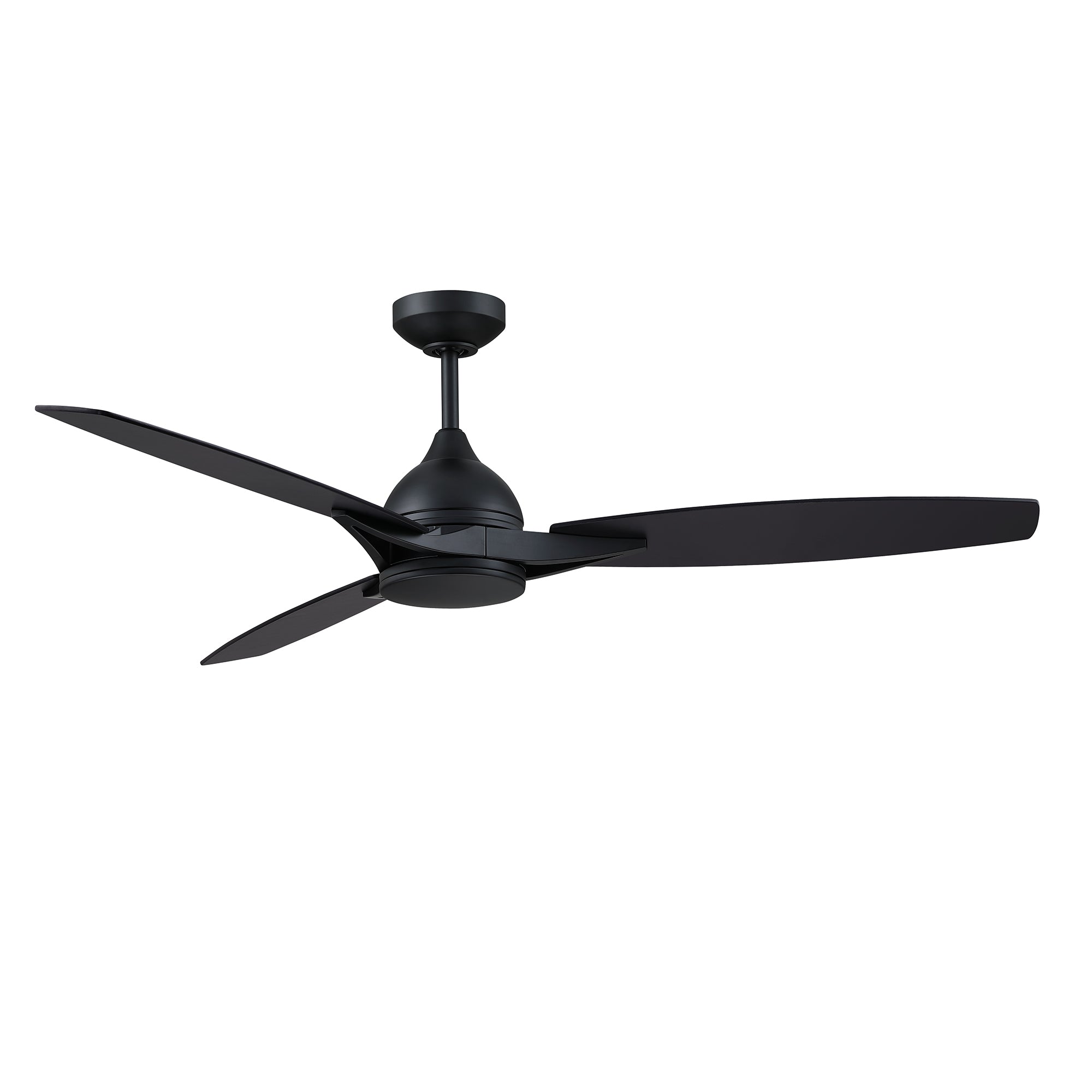 AC31656-BLK