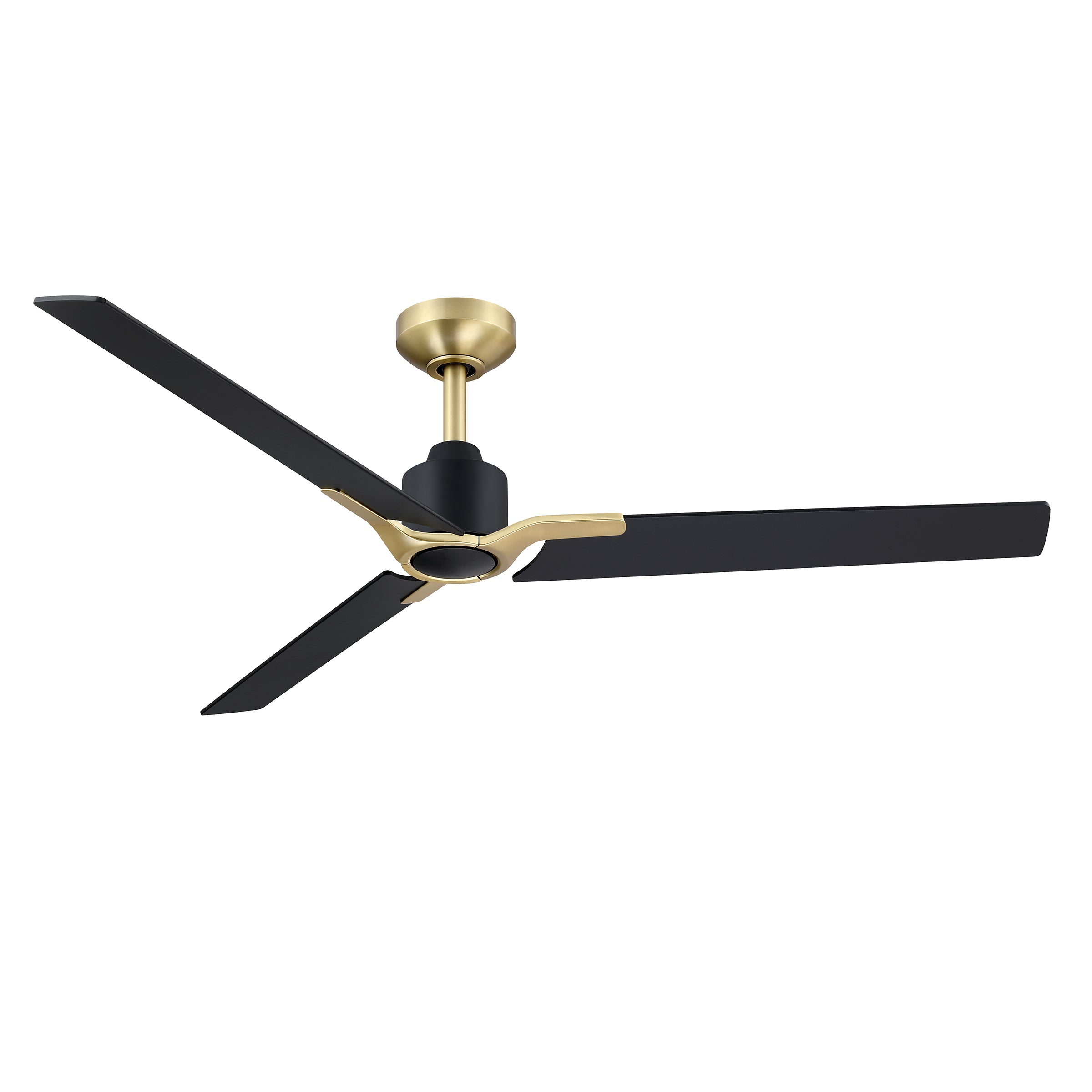 AC40152-BLK/BRS
